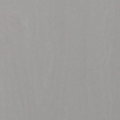 Cottonburg Full Panel Bed with Mirrored Dresser Rent Wise Rent To Own Jacksonville, Florida
