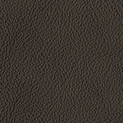 Luigi Sofa and Loveseat Rent Wise Rent To Own Jacksonville, Florida