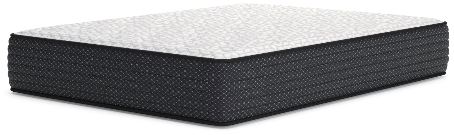 Limited Edition Plush Queen Mattress