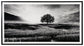 Deborland Wall Art Rent Wise Rent To Own Jacksonville, Florida