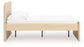 Onita  Panel Platform Bed