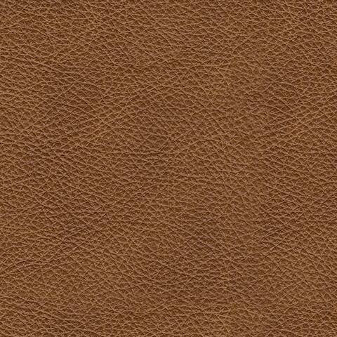 Carianna  Sofa Sleeper
