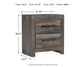 Drystan  Panel Bookcase Bed With Mirrored Dresser, Chest And Nightstand