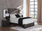 Parlayon  Panel Storage Bed, Dresser, Mirror And Nightstand