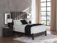 Parlayon  Panel Bed, Dresser And Mirror