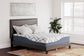 14 Inch Chime Elite 2.0 California  Mattress