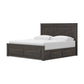 Vonitta Bay  Panel Storage Bed
