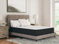 Limited Edition Plush Queen Mattress