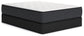 Limited Edition Plush Queen Mattress