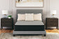 Palisades Firm Queen Mattress